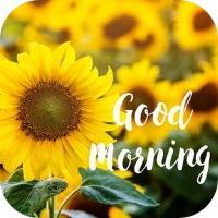 Good Morning Love Messages