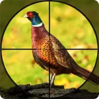 Pheasant Hunt: Bow Shooter 3D